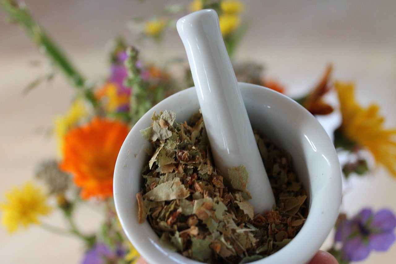Medical Herbalism & Naturopathy: A Holistic Approach to Health