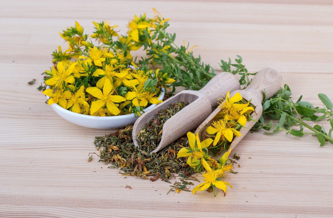 Naturopathy and Herbal Remedies