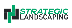 Strategic Landscaping Tauranga and Waikato